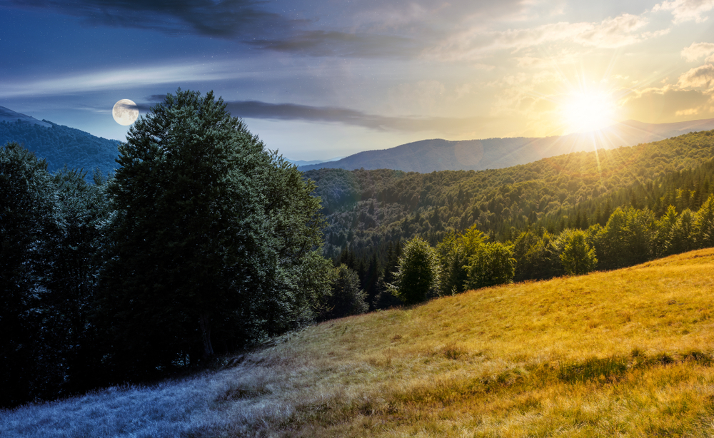 春夏秋冬的界線：節氣、農曆與氣候比較的分寸