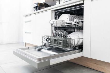 The Rational Choice of Dishwashers