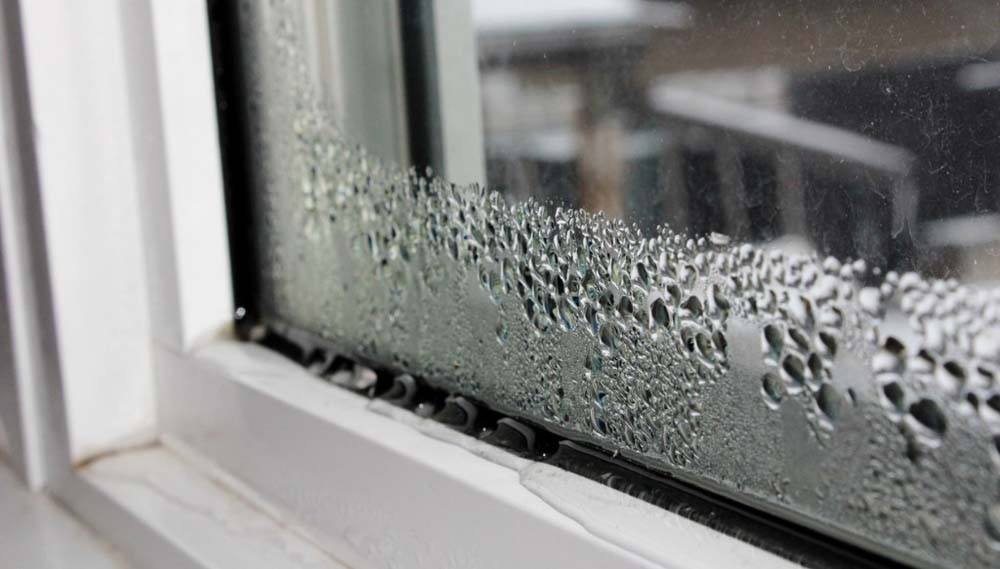 The Roots of Mold Issues in British Housing